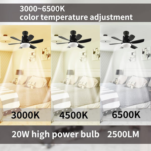 Socket Ceiling Fan Light - Screw in Fan and Bulb Combo 20 inch 40W 3000-6500K with Remote Black