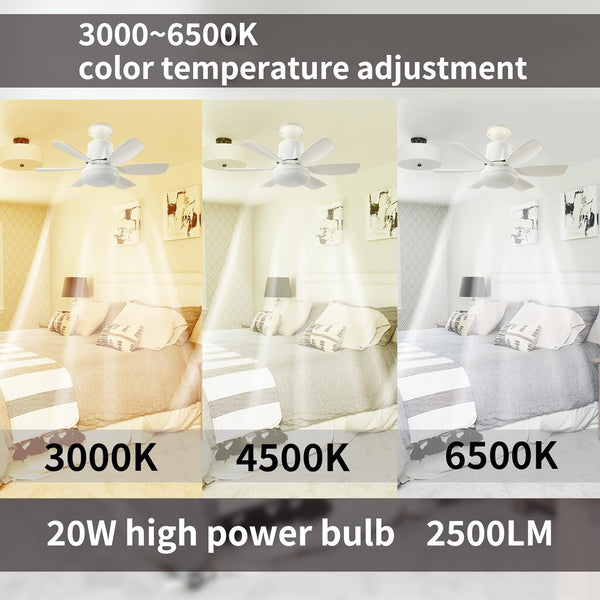 Socket Ceiling Fan Light - Screw in Fan and Bulb Combo 20 inch 40W 3000-6500K with Remote White